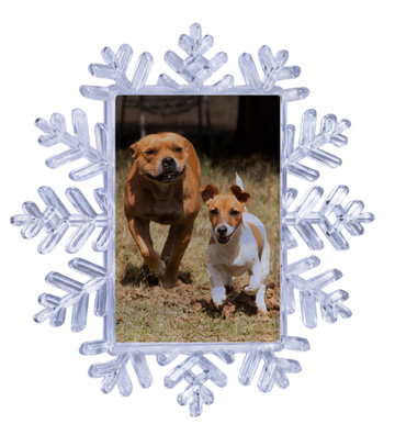 Christmas Hanging Snowflake Ornament Rectangle